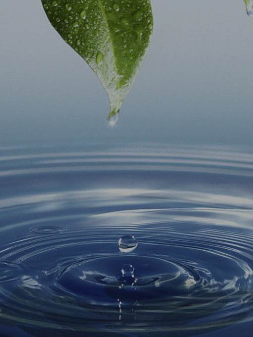 Resiliencia frente al cambio climático